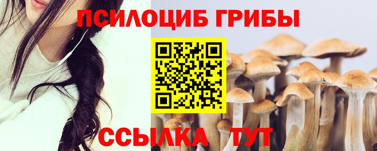 Галлюциногенные грибы мицелий Краснознаменск